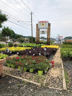 wholesale nursery atlanta - TOP 10 BEST Wholesale Nursery in Atlanta, GA .